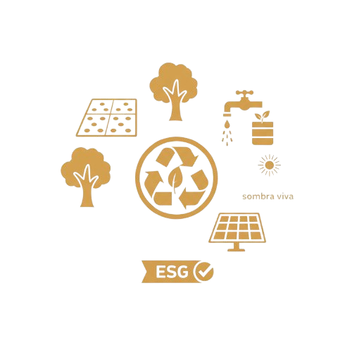 gemini generated image o5fbuno5fbuno5fb removebg preview removebg preview